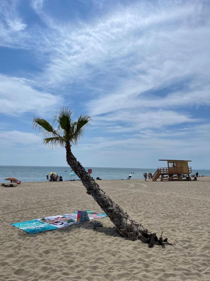 T2 avec terrasse, vue étang et son coucher de soleil, plage à proximité, wifi et place de parking gratuit que l on nomme Grain de Corail Le Barcarès Exterior foto